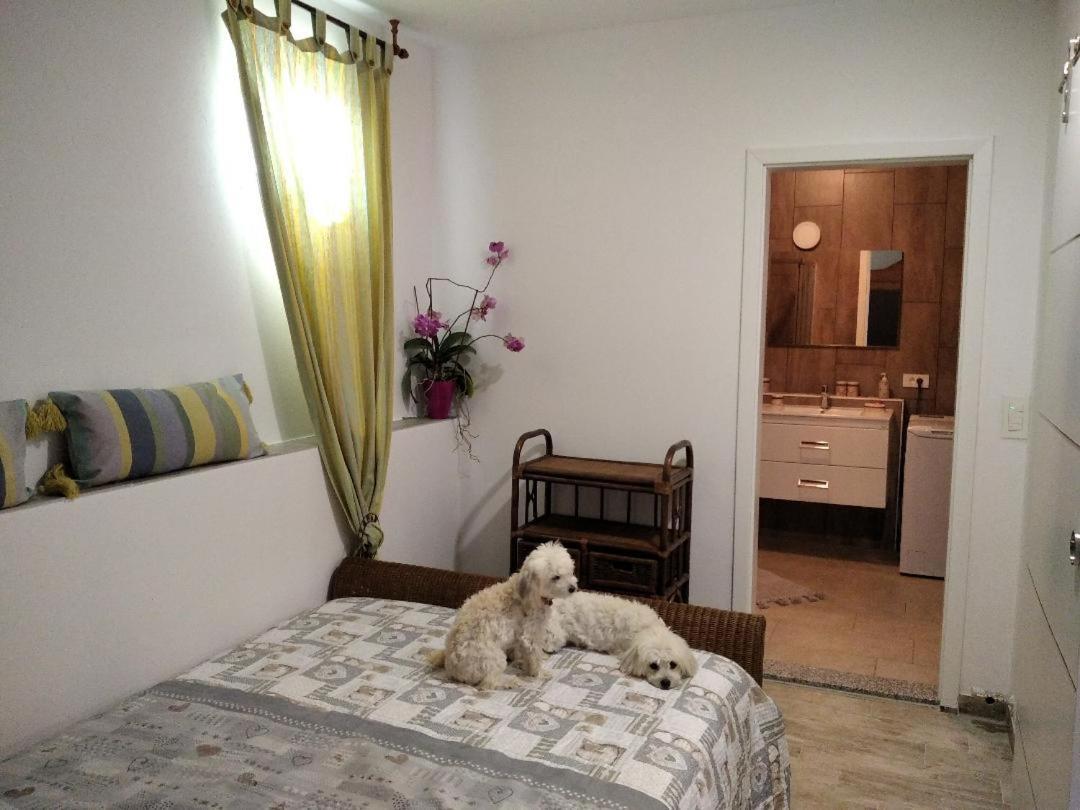 Apartment Trieste M&M Múggia Eksteriør billede